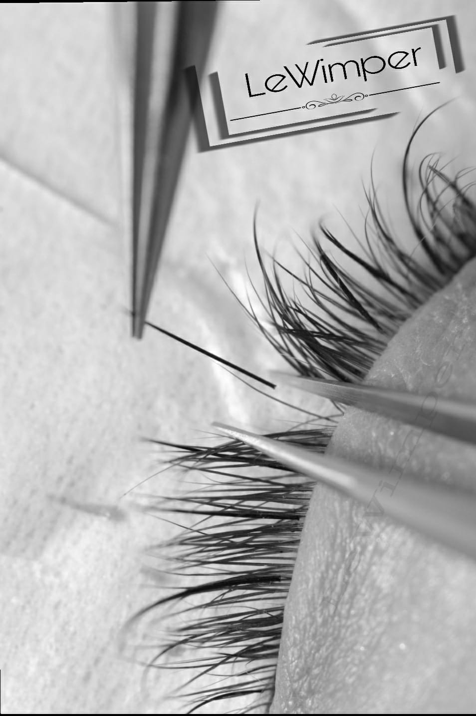 LewimperLogo LeWimperLogo
